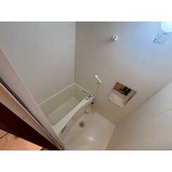 アンプルール milleのサムネイル