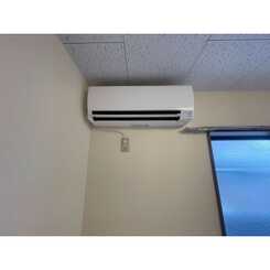 アンプルール milleのサムネイル