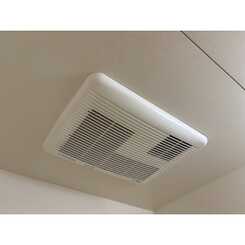 アンプルール milleのサムネイル