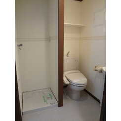 アンプルールフェール Grisのサムネイル