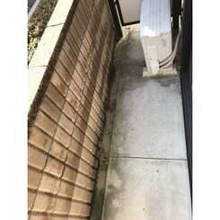 アンプルール クラージュ サピエンスのサムネイル