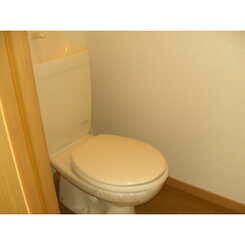 アンプルール フェールM’sⅡのサムネイル