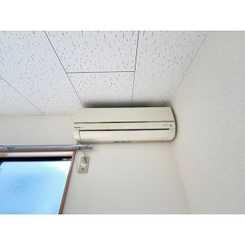 アンプルール クラージュ SHIMADAのサムネイル