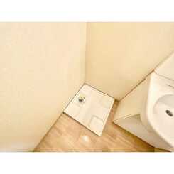 ｱﾝﾌﾟﾙｰﾙ ｸﾗｰｼﾞｭ コリーヌシャンⅠのサムネイル