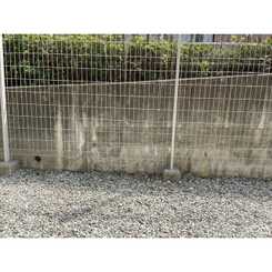 アンプルール クラージュコリーヌシャンⅡのサムネイル