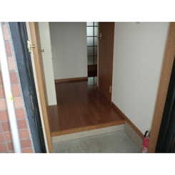 アンプルール フェール TSUGEのサムネイル