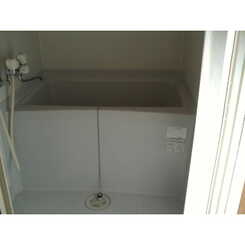 アンプルール フェール TSUGEのサムネイル