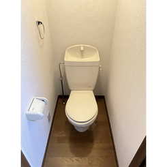 アンプルール フェール ソレイユのサムネイル