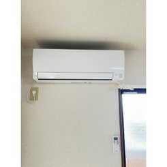 アンプルール フェール ソレイユのサムネイル