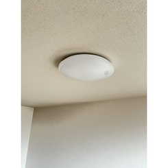 アンプルール フェール ソレイユのサムネイル