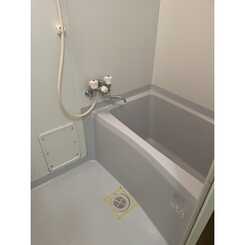 アンプルール フェール Ｗindのサムネイル