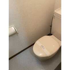 アンプルール フェール Ｗindのサムネイル