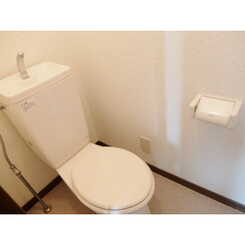 アンプルール フェール KⅢのサムネイル