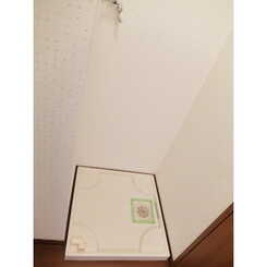 アンプルール フェール アミーⅡのサムネイル