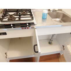 アンプルール フェール アミーⅡのサムネイル