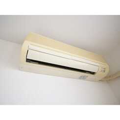 アンプルール フェール アミーⅡのサムネイル