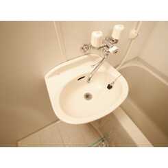 アンプルール フェール アミーⅡのサムネイル