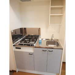 アンプルール フェール アミーⅡのサムネイル