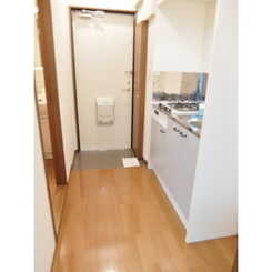 アンプルール フェール アミーⅡのサムネイル