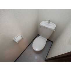 アンプルール フェール ドミールのサムネイル