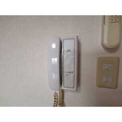 アンプルール フェール ドミールのサムネイル