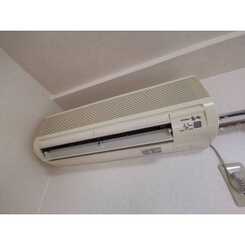 アンプルール フェール ドミールのサムネイル