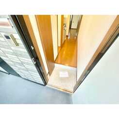 アンプルール フェール REALIFEⅡのサムネイル