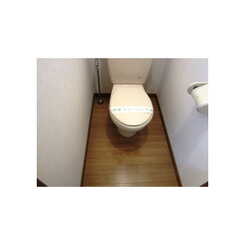 アンプルールフェールひまわりのサムネイル