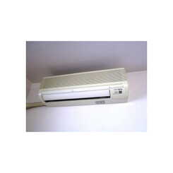 アンプルールフェールひまわりのサムネイル