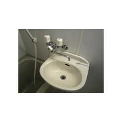 アンプルールフェールひまわりのサムネイル