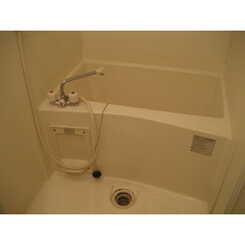 アンプルールフェールひまわりのサムネイル