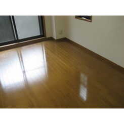 アンプルールフェールひまわりのサムネイル