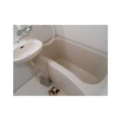 アンプルールフェールひまわりのサムネイル