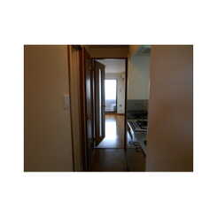 アンプルールフェールひまわりのサムネイル