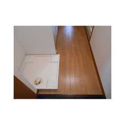 アンプルールフェールひまわりのサムネイル