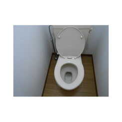 アンプルールフェールひまわりのサムネイル