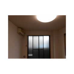 アンプルールフェールひまわりのサムネイル