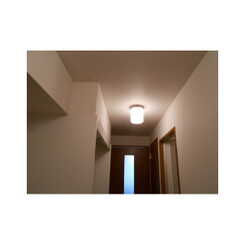 アンプルールフェールひまわりのサムネイル