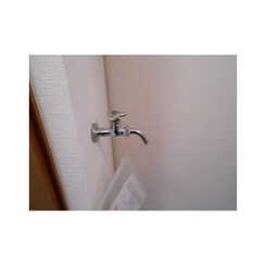 アンプルールフェールひまわりのサムネイル