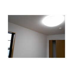 アンプルールフェールひまわりのサムネイル