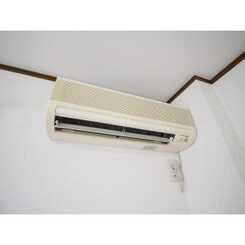 アンプルール フェール Surieのサムネイル