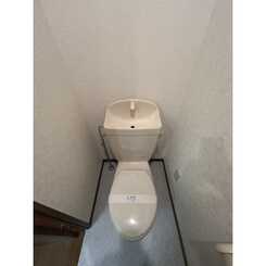 アンプルール フェール Surieのサムネイル