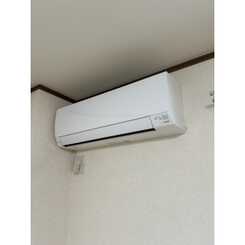 アンプルール フェール Surieのサムネイル