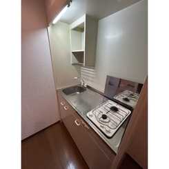 アンプルール フェール Surieのサムネイル