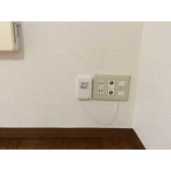 アンプルール フェール ライムのサムネイル