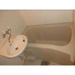 アンプルール フェール ライムのサムネイル