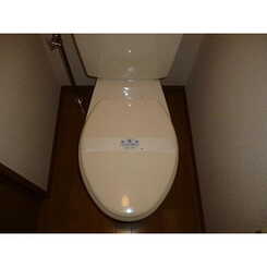 アンプルール フェール ライムのサムネイル