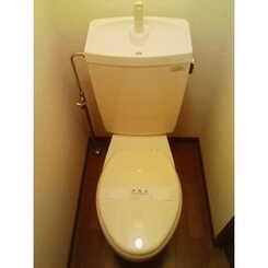 アンプルール フェール ライムのサムネイル