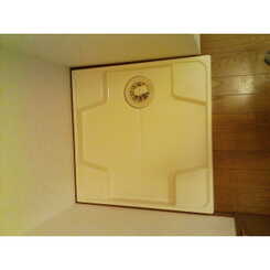 アンプルール フェール ライムのサムネイル