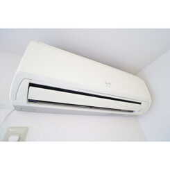 アンプルール クレールのサムネイル